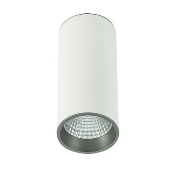Italux MOLDES SLC7392/12W 4000K WH+GR oprawa natynkowa 1x12W/LED 4000K
