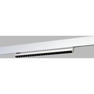 Azzardo ALFA CYRUS Magnetic AZ6509 reflektor szynowy 1x24W/LED  3000 / 4000 / 6000k IP20
