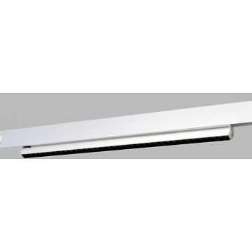 Azzardo ALFA CYRUS Magnetic AZ6510 reflektor szynowy 1x36W/LED  3000 / 4000 / 6000k IP20