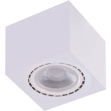 AZzardo ECO AZ4318 downlight natynkowy 1x16W/ES111 IP20 