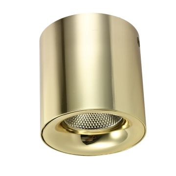 AZzardo MANE AZ4154 downlight natynkowy 1x20W/LED IP20 