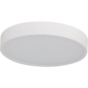 Azzardo PANDINO AZ6589 plafon sufitowy 1x24w/led  2800k/4000k/6000k ip44