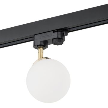 Argon BANG 4307 reflektor szynowy 1x6W/G9  IP20