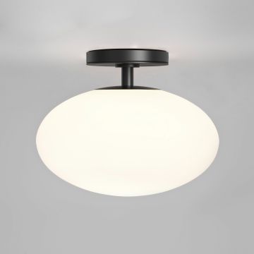 Astro Lighting Zeppo 1176017 lampa sufitowa 1x12W/E27  IP44