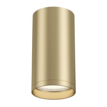 MAYTONI FOCUS S C052CL-01MG lampa sufitowa 1x10W/GU10  