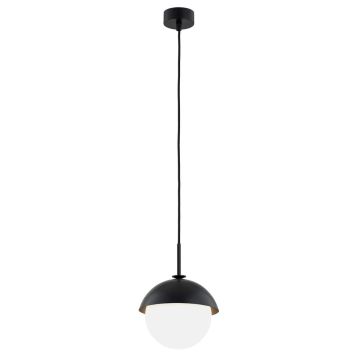 Argon CAPPELLO 8295 lampa wisząca 1x15W/E27 IP20