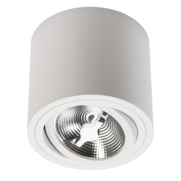 Lumifall CILO ES111 downlight natynkowy  IP20 