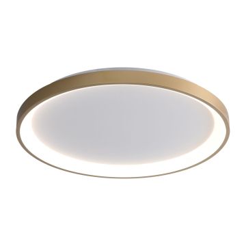 Italux Raden CLN-3151-M-GD plafon 1x50W/LED 2900lm 3000K|4000K|6000K IP20
