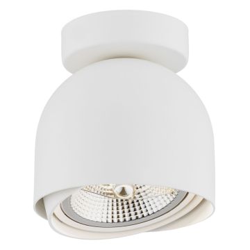 Argon GARLAND 4710 BZ plafon 1x15W/GU10 AR111  IP20