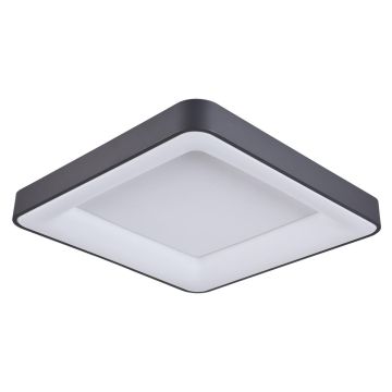 Italux Giacinto  5304-850SQC-BK-4 plafon sufitowy 1x50W/LED 4000K IP20