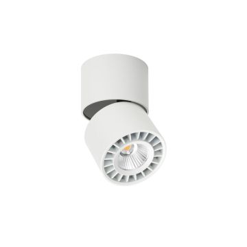 Italux Herios  CLN-97018-12W-L-3K downlight natynkowy 1x12W/LED 3000K IP20
