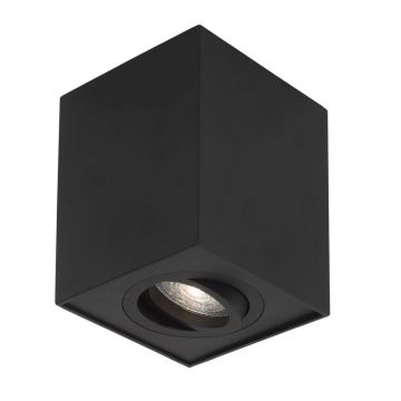 Luces Exclusivas CHIVACOA LE61454 donlight natynkowy    IP20