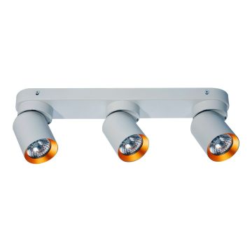 Milagro ANDY ML9936 spot IP20