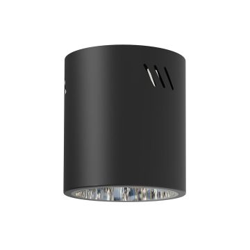 Milagro GEORGE ML0480 downlight natynkowy 1x60W/E27 IP20