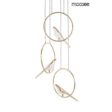 Kinghome Moosee Bird Disc MSE010100294 lampa wisząca 1x24W/LED IP20