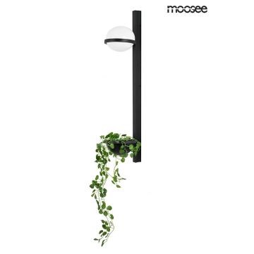 King Home MOOSEE PLANT WALL MSE010400222 kinkiet 1x16W/LED 3000K IP20