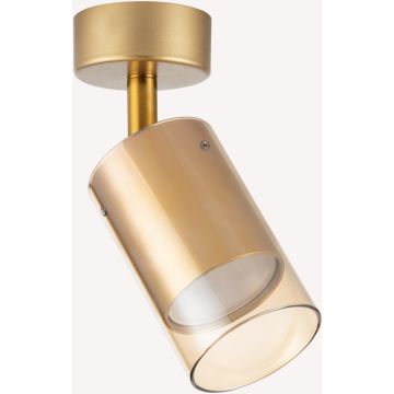 Zuma Line REN OB-2211BD-1-GLD spot 1x50W/GU10   