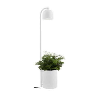 Kaspa BOTANICA XL 40848101 lampa podłogowa 1x9W/GU10 IP20