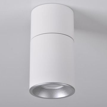 Polux ASTRA 314031 downlight natynkowy max 10W LED  IP20