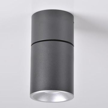 Polux ASTRA 314055 downlight natynkowy max 10W LED  IP20