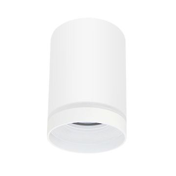 Polux FABRI 319883 downlight natynkowy max 10W LED  IP20