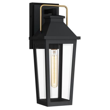 Quoizel Buckley QZ-BUCKLEY-M-MBK kinkiet 1x40W/E27 IP44