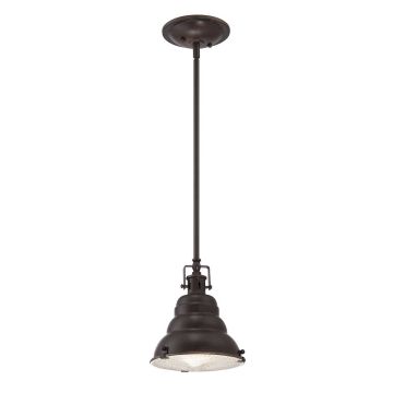 Quoizel EASTVALE QZ/EASTVALE/P/S lampa wisząca 1x60W/E27 