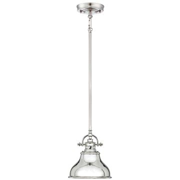Quoizel EMERY QZ/EMERY/P/S IS lampa wisząca 1x60W/E27 