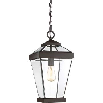 Quoizel Ravine QZ-RAVINE8-L lampa wisząca 1x60W/E27 IP23 