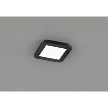 Trio CAMILLUS R62931032 lampa sufitowa 1x10w/led 850lm 3000k ip44