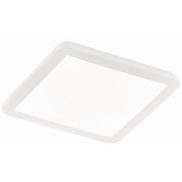 Trio CAMILLUS R62931801 panel LED 1x18w/led 1650lm 3000k ip44