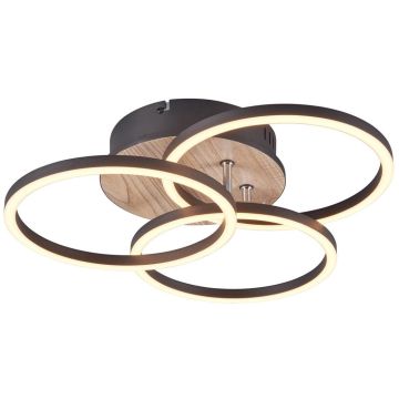 Trio CIRCLE R62823135 lampa sufitowa 1x27w/led 3200lm 2700-6000K ip20