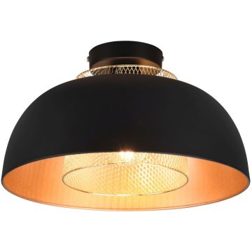 Trio PUNCH R60811032 lampa sufitowa 1x40w/e27   ip20