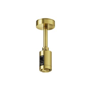 Maytoni Flarity TRA156C-B1-BS zawiesie IP20
