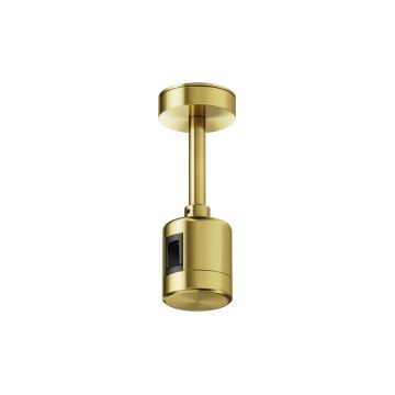 Maytoni Flarity TRA156C-IPC1-BS zawiesie IP20