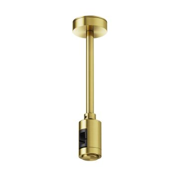 Maytoni Flarity TRA156C-SL1-BS zawiesie