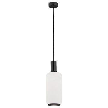 Argon SAGUNTO PLUS 8563 lampa wisząca 1x15W/E27 IP20