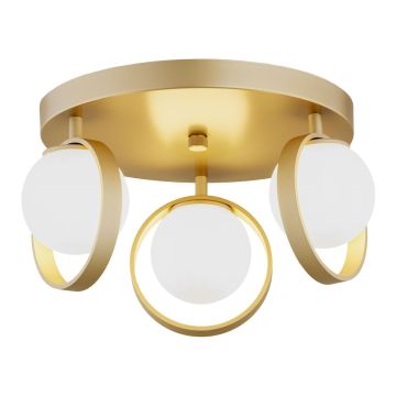 Argon SATURNIA 6248 lampa sufitowa 3x6W/G9 IP20