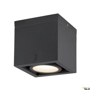 SLV Eskina 1006316 Downlight 1x15W/LED 3000K|4000K IP65