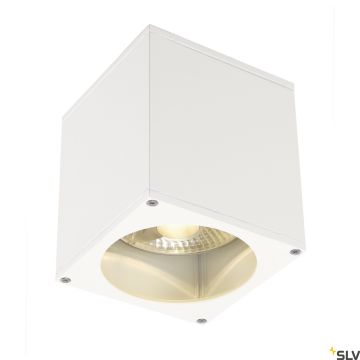 SLV BIG THEO 229551 oprawa natynkowa 1x75W/GU10/ES111 IP44