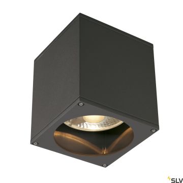 SLV BIG THEO 229555 oprawa natynkowa 1x75W/GU10/ES111 IP44