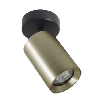 ZumaLine TORE TLS006-GLD spot 1x35W/GU10 IP20