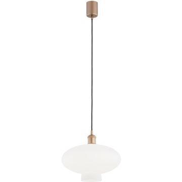 Argon TRESCO  8980 lampa wisząca 1x15W/E27   IP20