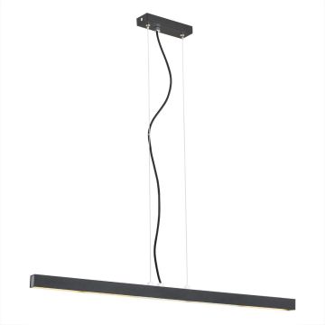 Argon VERMONT 3950 Zwis sufitowy 1x24W/LED 3000K