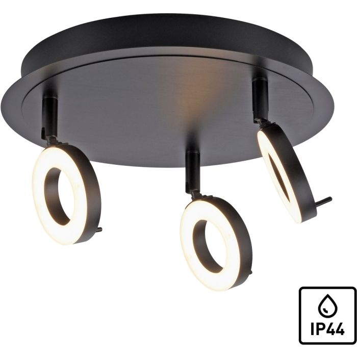 Paul Neuhaus-SILEDA-6788-13-PLN6788-13