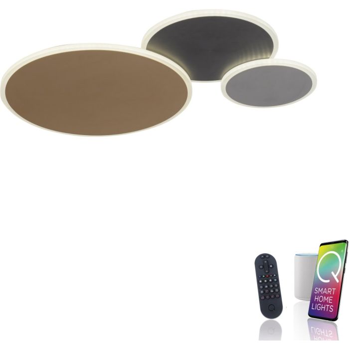 Paul Neuhaus-Q-PIATO-8007-70-PLN8007-70