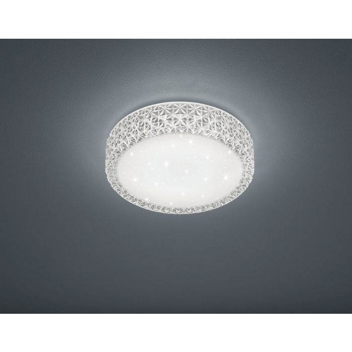 TRIO-PEGASUS-R62421100-TRIR62421100